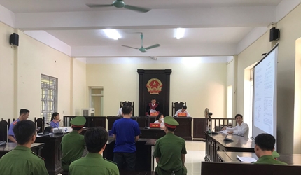 Viện KSND huyện Ba Vì ứng dụng số hóa hồ sơ và công bố tài liệu, chứng...